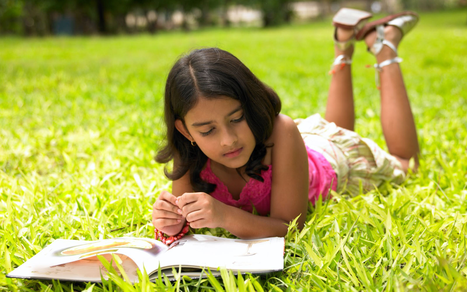 بچوں کو کتابیں منتخب کرنے دیں ، مطالعہ کی صلاحیت میں اضافہ ہوگا
