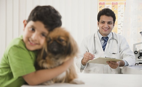 Good reasons to neuter your dog or cat